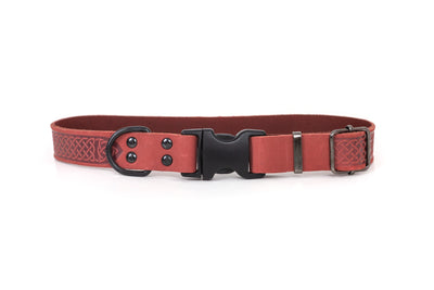 Euro Dog Celtic Sport Style Soft Leather Dog Collar