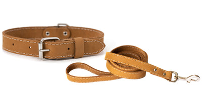 Euro Dog Collar and Leash Set Traditional Soft Leather Adjustable Buckle Dog Collar and Leash Made in USA
